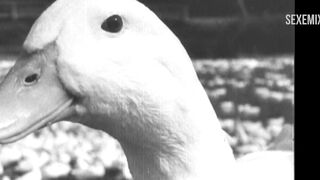 Плачущая утка для Шарлотты Генсбур, сцена в Нимфоманка: Том II