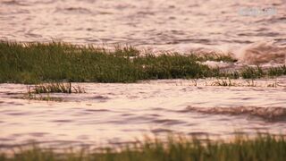 Sook-Yin Lee se masturba em um banco, cena em Shortbus