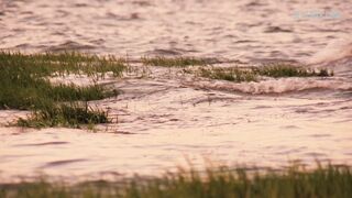 Sook-Yin Lee se masturba em um banco, cena em Shortbus