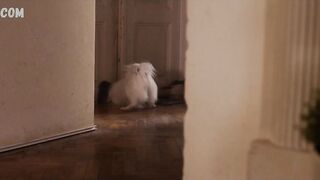 Sasa Pavlin Stosic nue, scène dans Prebujanja 2017