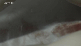 Narges Rashidi çıplak, Von glucklichen Schafen'den (2014) seks sahnesi