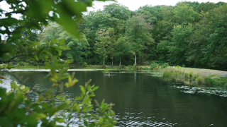 Josefine Christofferson nua, cena erótica de Costas (2017)