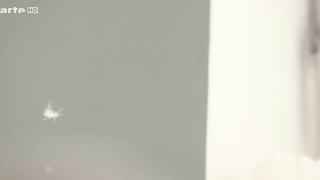 Nude video with Isabel Thierauch nude , scene from Die Stille (2015)