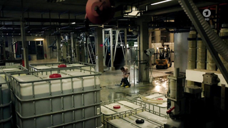 Nude video with Emily Cox nude , scene from Tatort e950 (2015)