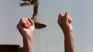 Линда ван Дейк обнаженная, эротическая сцена из фильма «Магония» (2001)