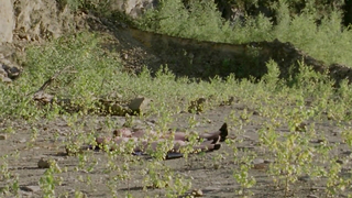 Salome Richard çıplak, Septembre (2013) filminden seks sahnesi