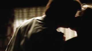 Nude video with Deborah Kara Unger nude , scene from Stander (2003)