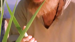 Nude video with Svetlana Khodchenkova nude , scene from Ohotniki za ikonami (2004)