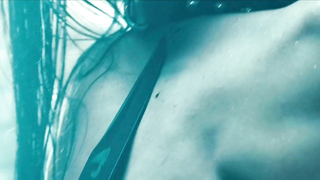 Cyd Schulte nue, scène érotique de The Flock (2007)