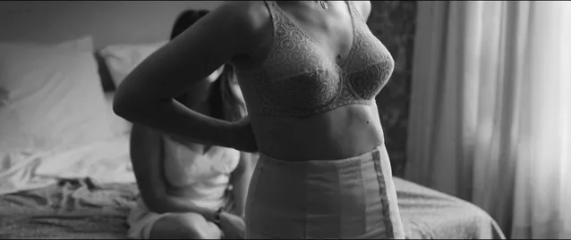 Үлкен лабия бейнелері