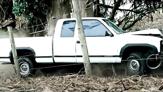 Running Wild – Offizieller Trailer 1 (2017) – Sharon Stone – Film