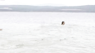 Nude celebs » Natasha Jane Pyne nude - Lake Placid vs. Anaconda (2015)