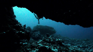 Çıplak ünlüler » Teresa Palmer seksi - Point Break (2015)