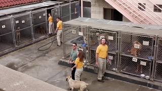 Çıplak ünlüler » Toni Collette çıplak, Calista Flockhart seksi - The Last Shot (2004)