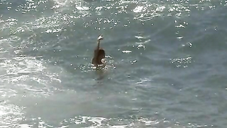 Çıplak ünlüler » Willa Holland seksi - A Summer in Genoa (2008)