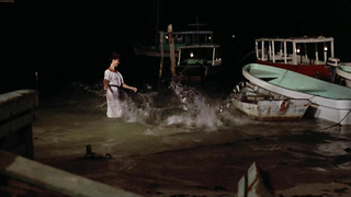 Обнаженные знаменитости - Рэйчел Уорд секси - Against All Odds (1984)