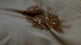 Обнаженные знаменитости - Бриджит Фонда секси, Лоуренс Эшли секси - Поцелуй дракона (2001)