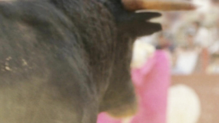 Çıplak ünlüler » Penelope Cruz seksi - Manolete (2008)