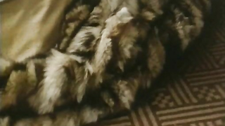 Çıplak ünlüler » Jacqueline Bisset çıplak - Secrets (1971)