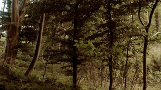 Обнаженные знаменитости - Кристиана Шаумбург-Мюллер обнаженная - Over Kanten (2012)