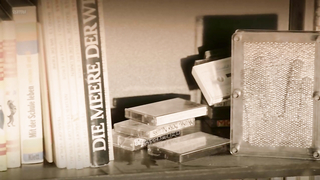 Celebrità nude » Pegah Ferydoni nuda - Pastewka s08e09 (2018)