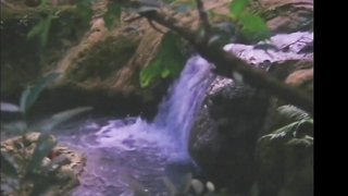 Scena in topless di Jessa Zaragoza in Masamang damo (1996)