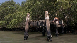 Scena nuda di Diana Glenn in Oyster Farmer (2004)