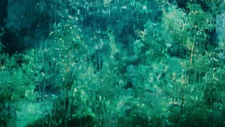 Radha Mitchell nuda, scena di sesso in Feast of Love (2007)