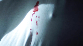 Susan Sarandon desnuda, Catherine Deneuve desnuda, escena de sexo de El hambre (1983)