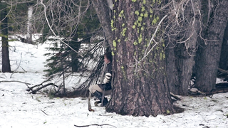 Джемма Донато - Спящая красавица (2014)