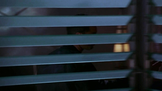 Pamela Anderson - Fil barbelé (1996)