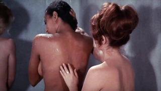 Pam Grier – Das große Puppenhaus (1971)