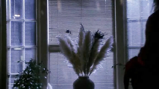 Nude video with Zoe Trilling , Lezlie Deane - To Protect and Serve (1992)