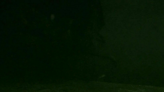 Sarah Oh - La cripta (2009)