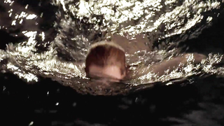 Nicole Kidman – Billy Bathgate (1991)