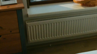 Nude video with Vica Kerekes - Nestyda (2008)