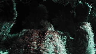 Marika Pekkarinen ve Veera W. Vilo çıplak, Bunny the Killer Thing (2015) filminden seks sahnesi