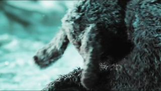 Marika Pekkarinen ve Veera W. Vilo çıplak, Bunny the Killer Thing (2015) filminden seks sahnesi