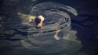 Ребекка Андерхилл обнаженная, сексуальная сцена из Lady Midsummer (2016)