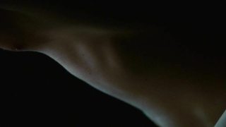 Nude video with Amanda Seyfried scene from Dear John (2010)