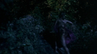 Virginia Madsen nuda, scena di sesso da The Hot Spot (1990)