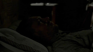 Scena erotica di Jessica Chastain da Lawless (2012)