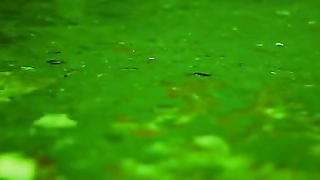 Nude video with Eleanor James scene from Slasher House (2012)