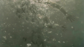 Escena erótica de Erica Durance de La casa de los muertos (2003)