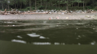 Escena erótica de Erica Durance de La casa de los muertos (2003)