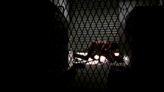 Nude video with Lauren Cohan scene from The Walking Dead s03e13 (2013)