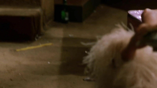 Kristin Bauer Mavi İguana'da Dans (2000) filminden erotik sahne