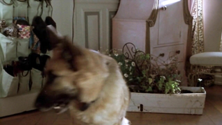 Ann Kathrin Kramer nua, cena de sexo de Allein unter Mannern (2001)