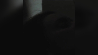 Nude video with Greta Gerwig scene from Greenberg (2010)