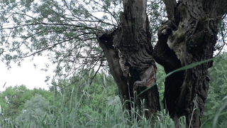 Marjorie Cottreel çıplak, La vie de Jesus'tan (1997) seks sahnesi